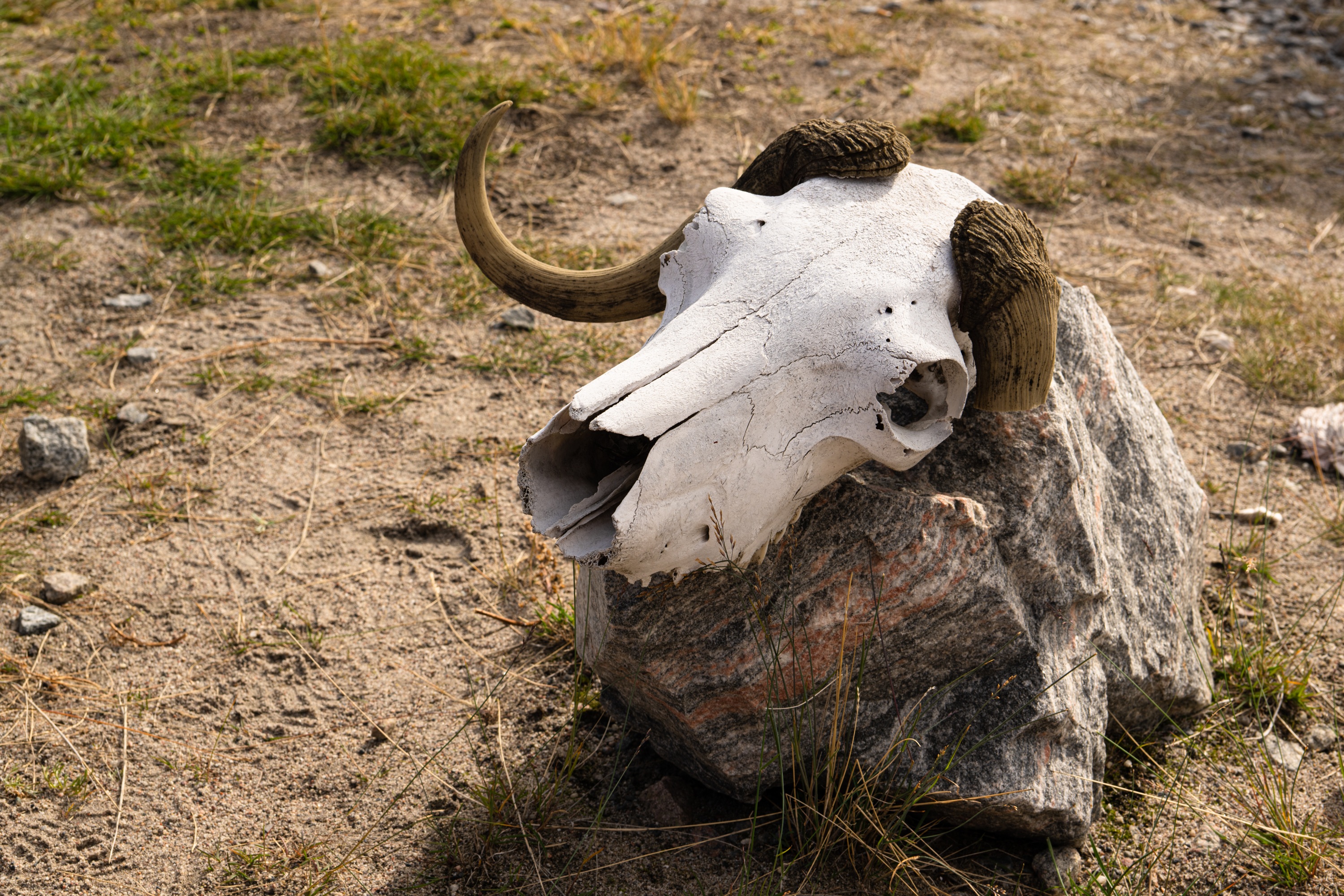 Kangerlussuaq, Greenland