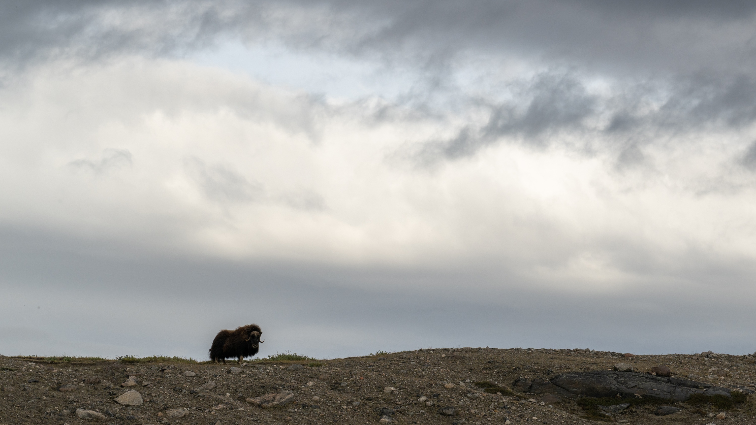 Kangerlussuaq, Greenland