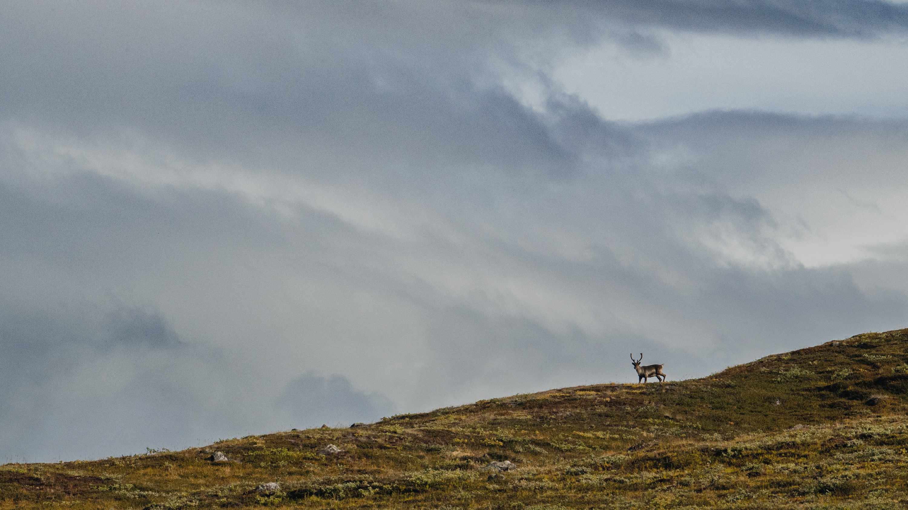 Kangerlussuaq, Greenland