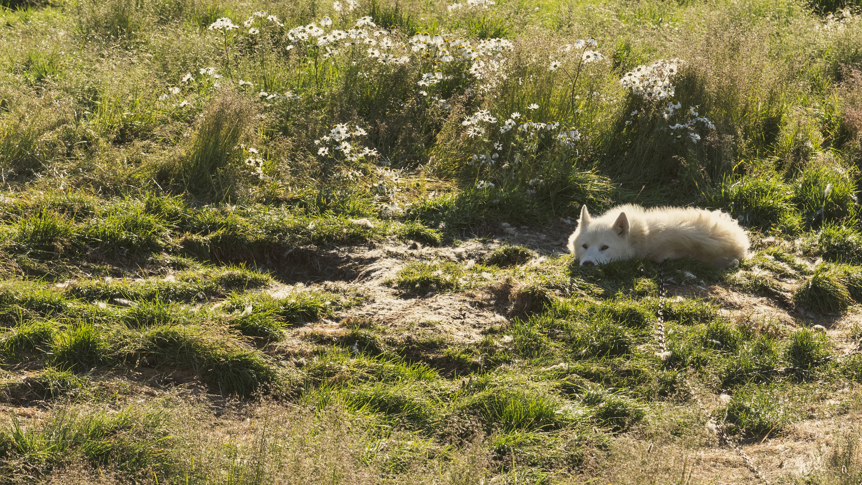 Ilulissat, Greenland
