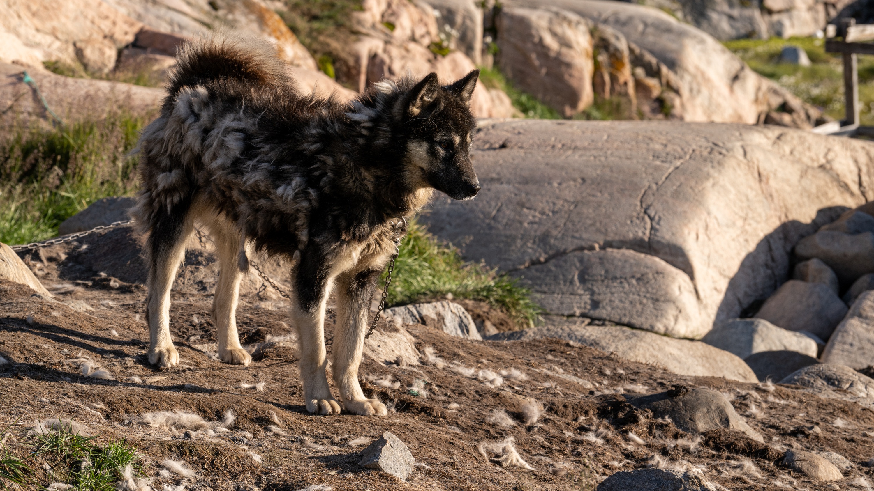 Ilulissat, Greenland