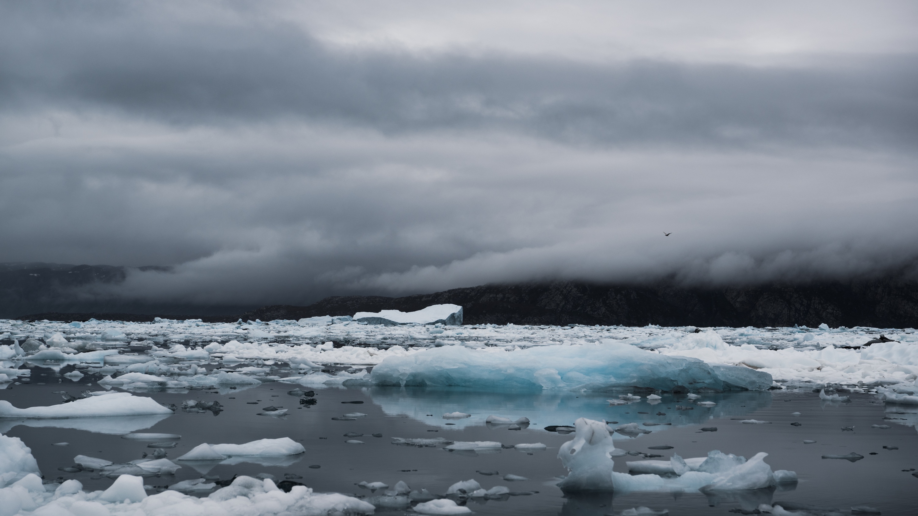 Disko Bay, Greenland