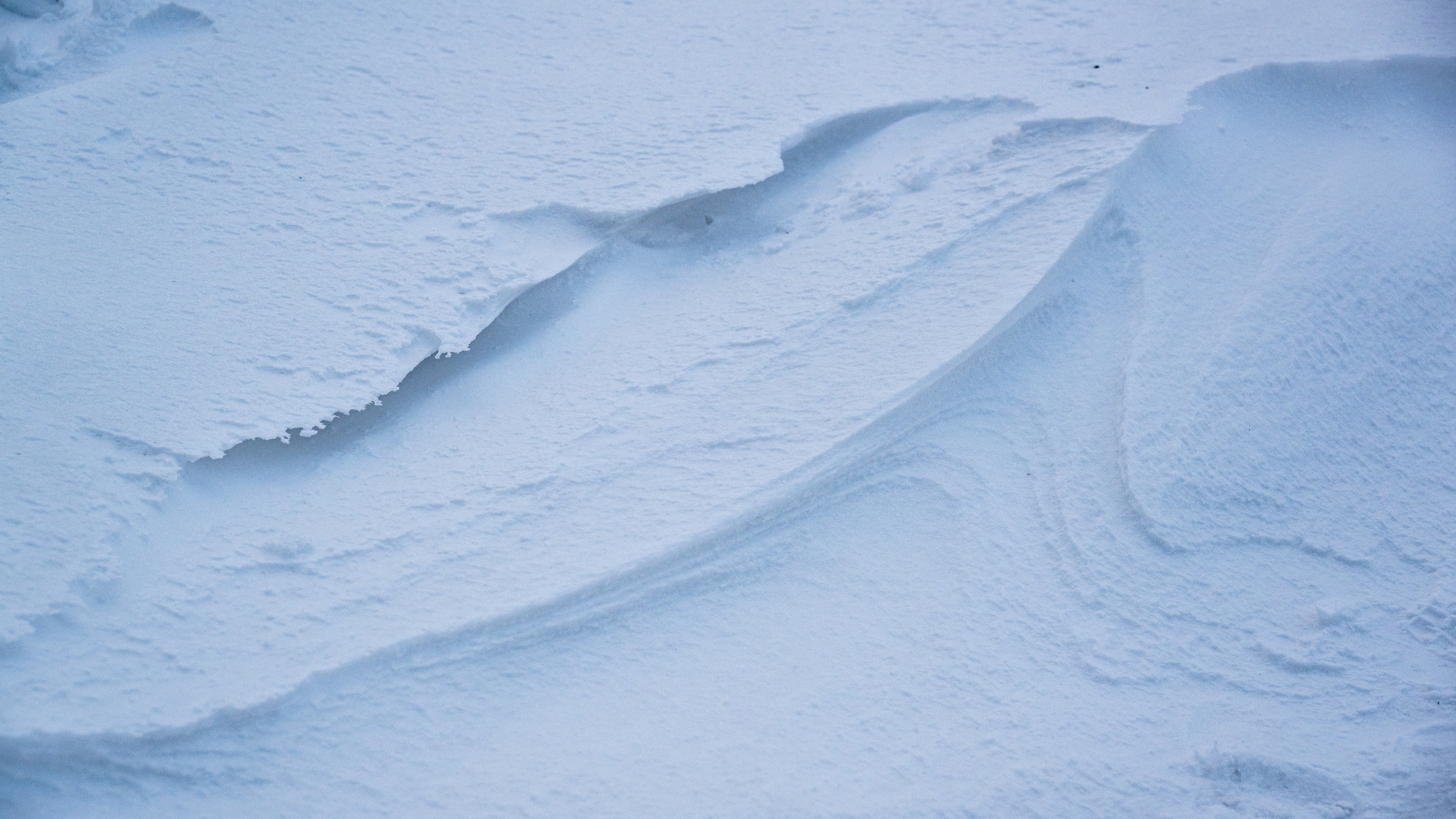 Spitsbergen, Svalbard