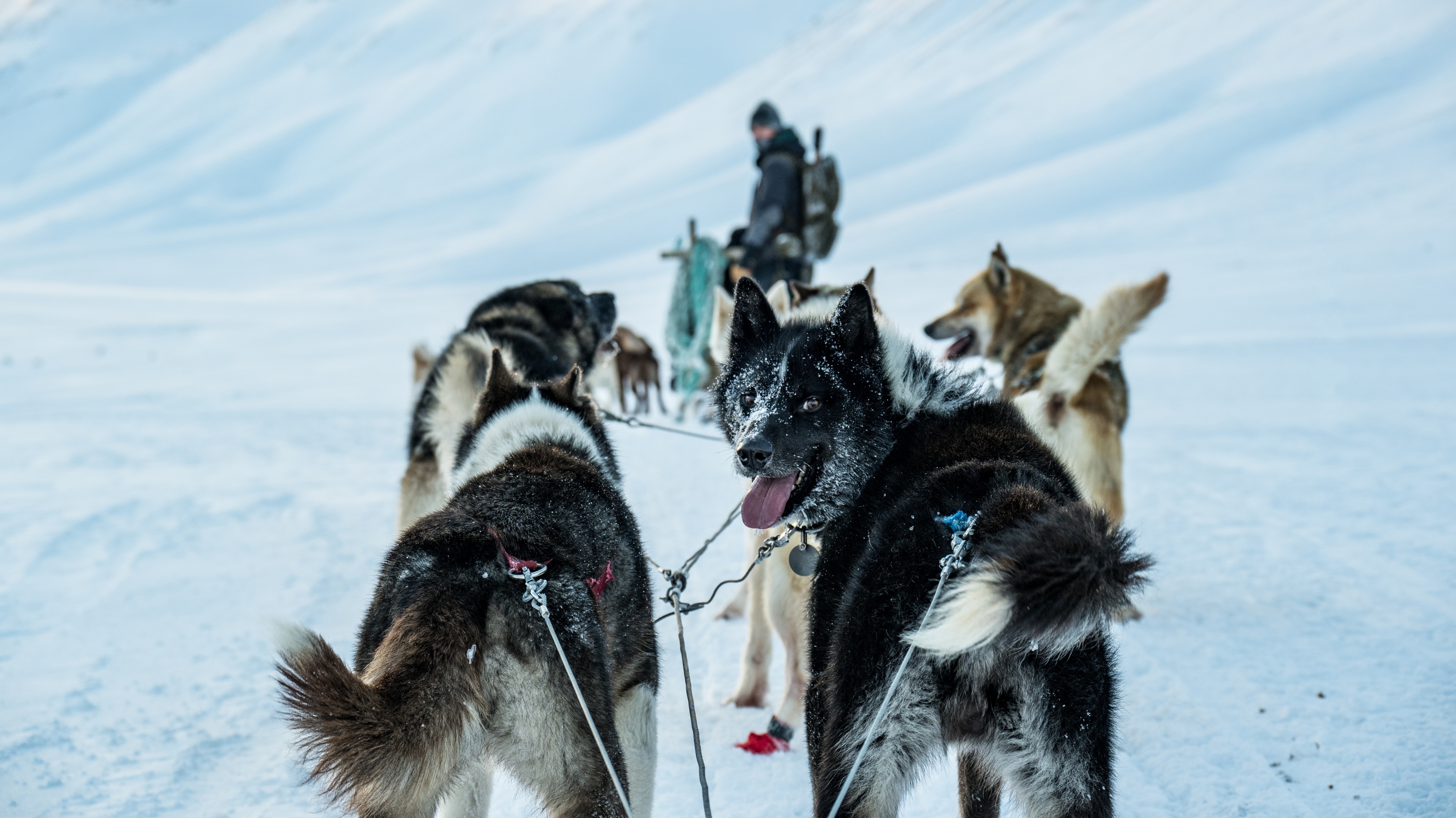 Spitsbergen, Svalbard