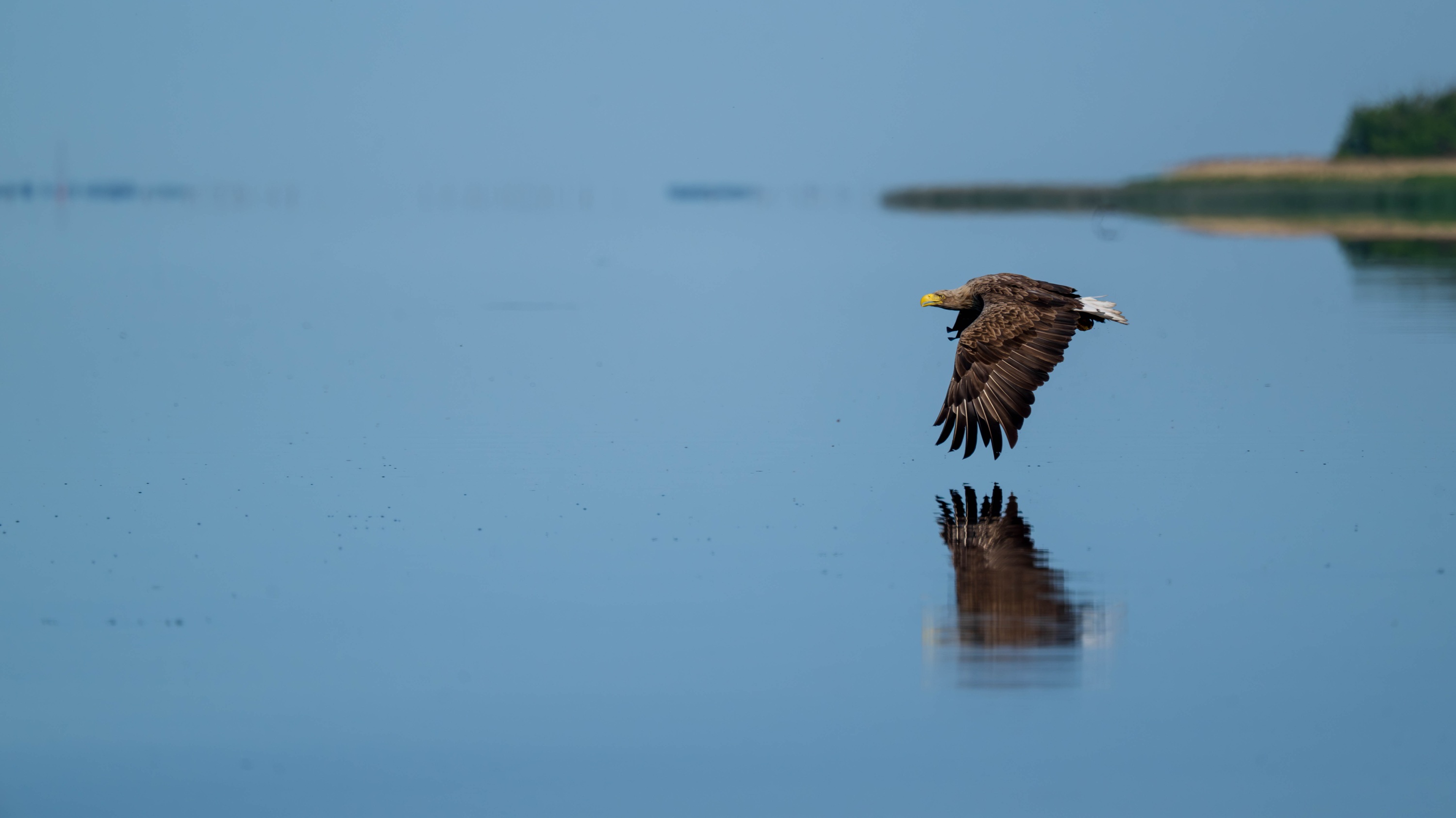Szczecin Lagoon, Poland