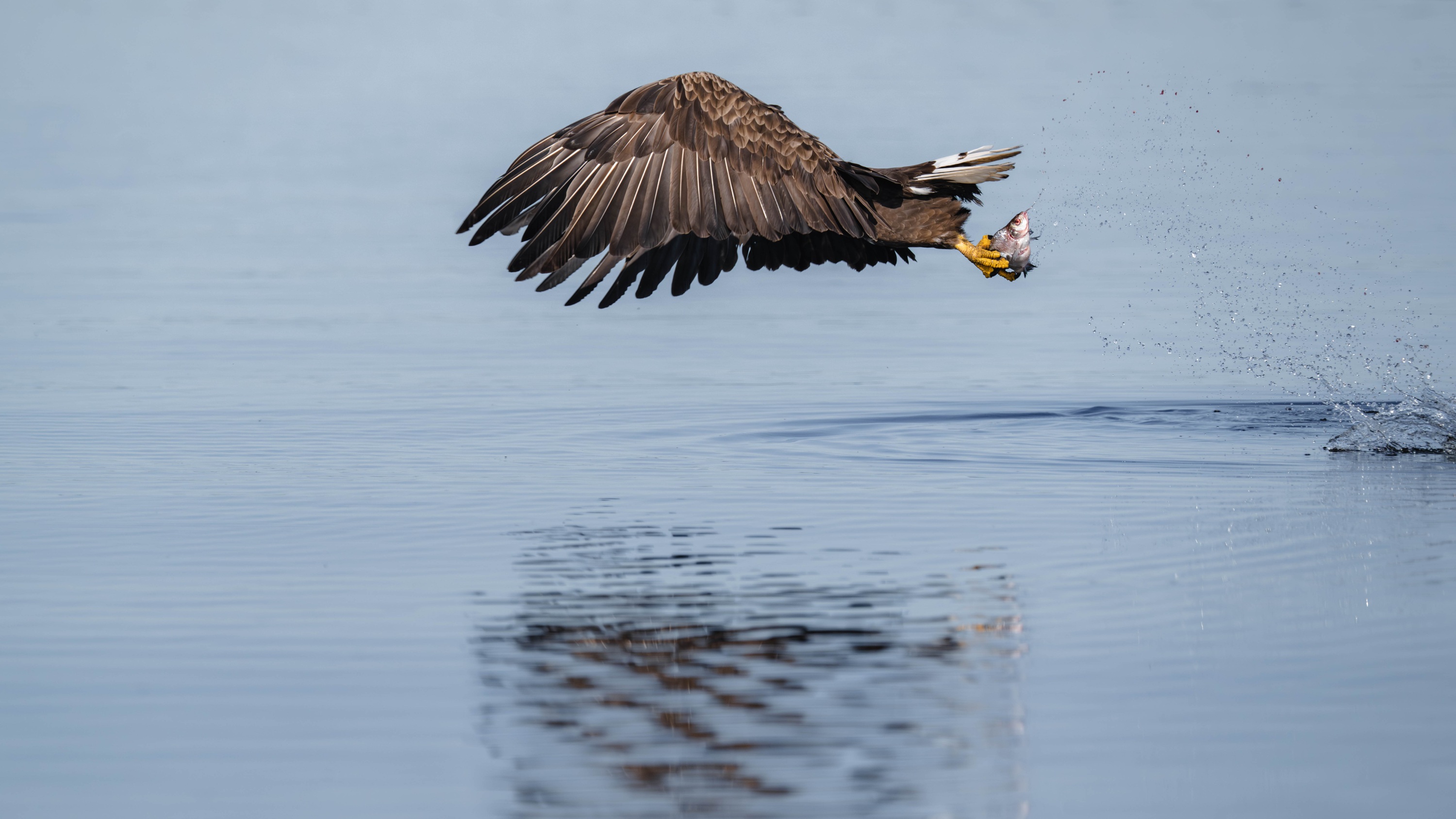 Szczecin Lagoon, Poland