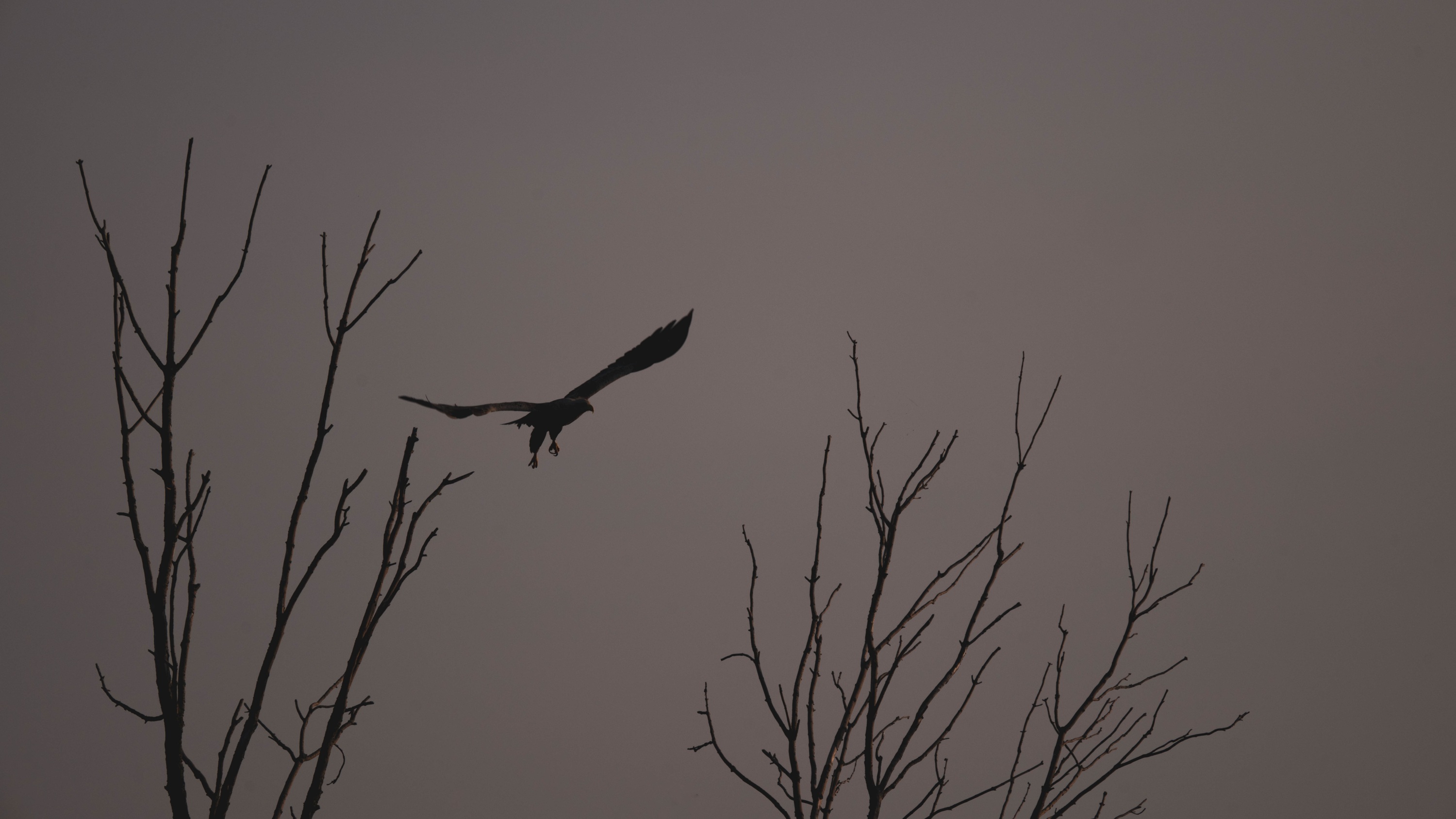 Szczecin Lagoon, Poland