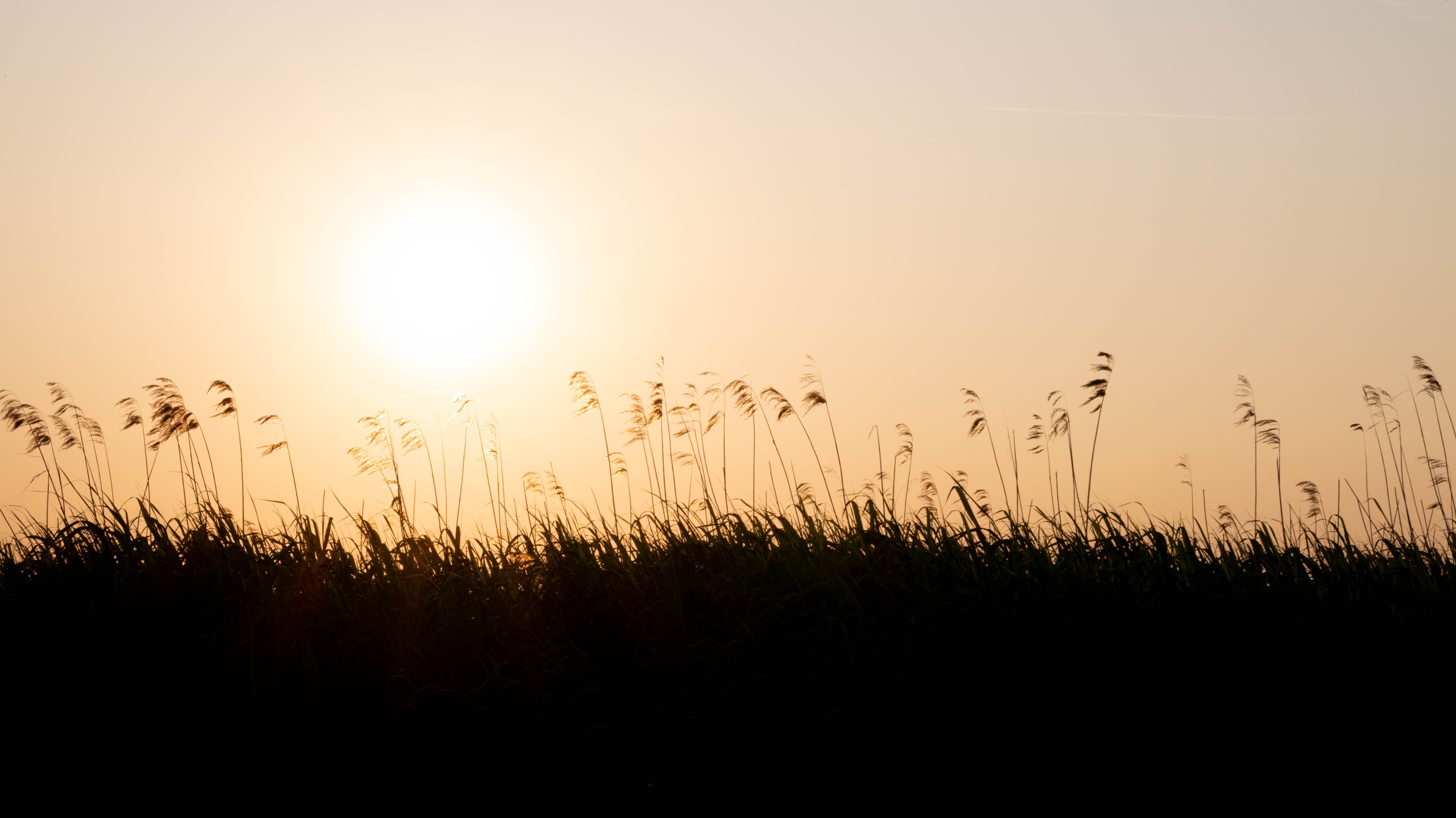 Szczecin Lagoon, Poland