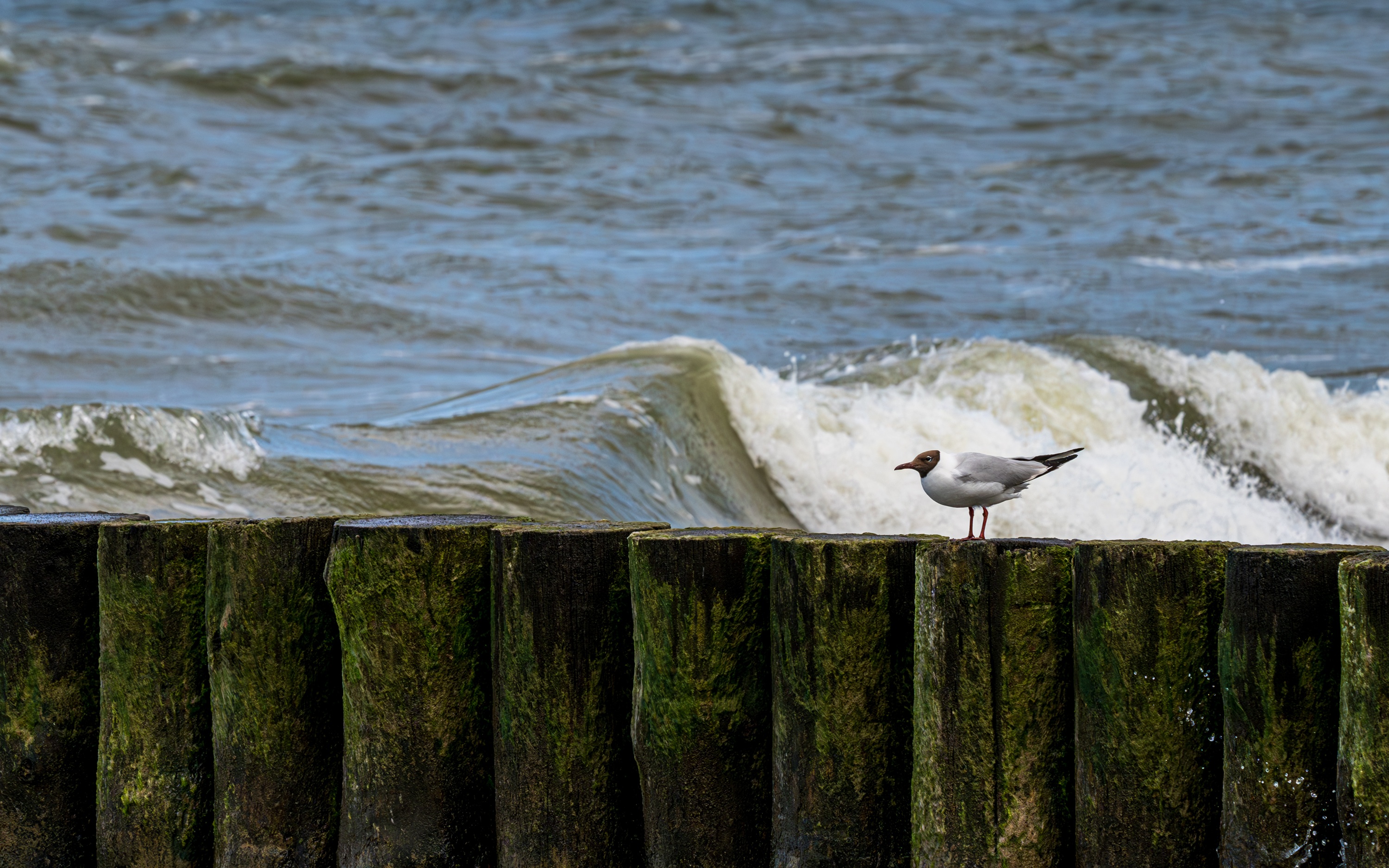 Ustronie Morskie, Poland