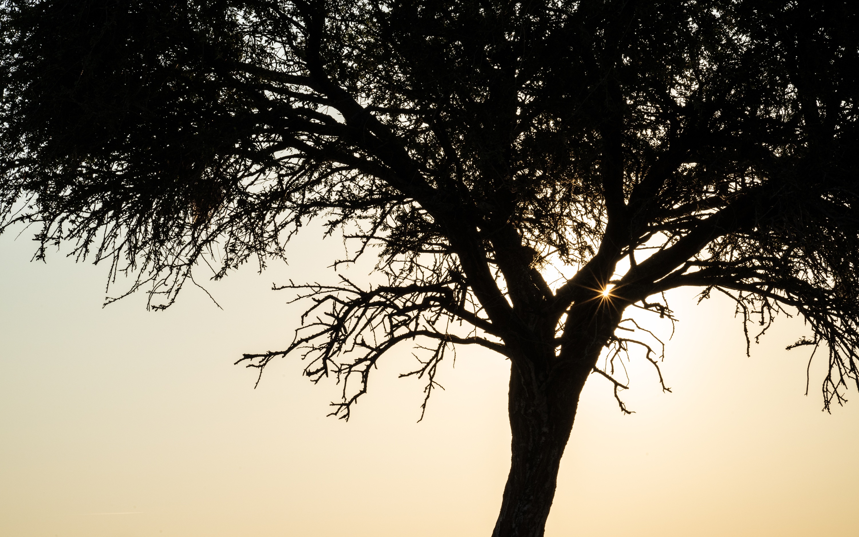 Mashatu Game Reserve, Botswana