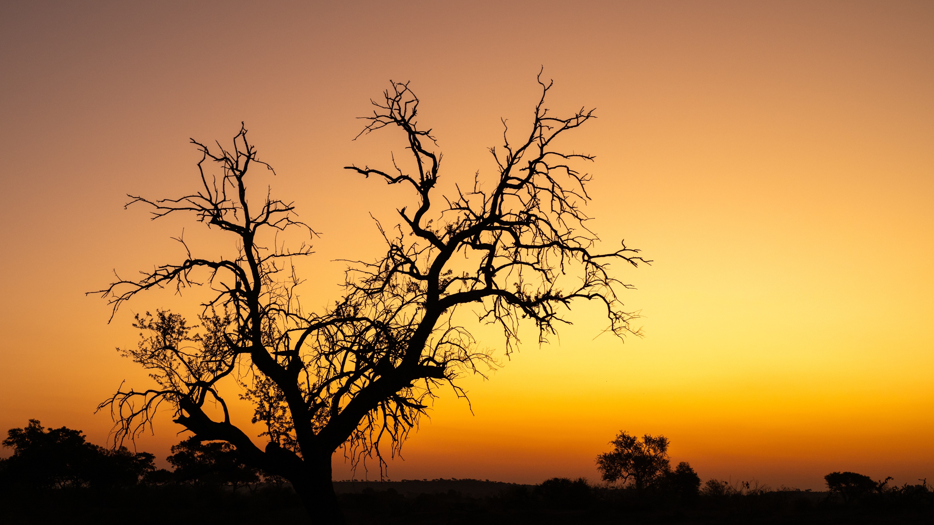 Mashatu Game Reserve, Botswana
