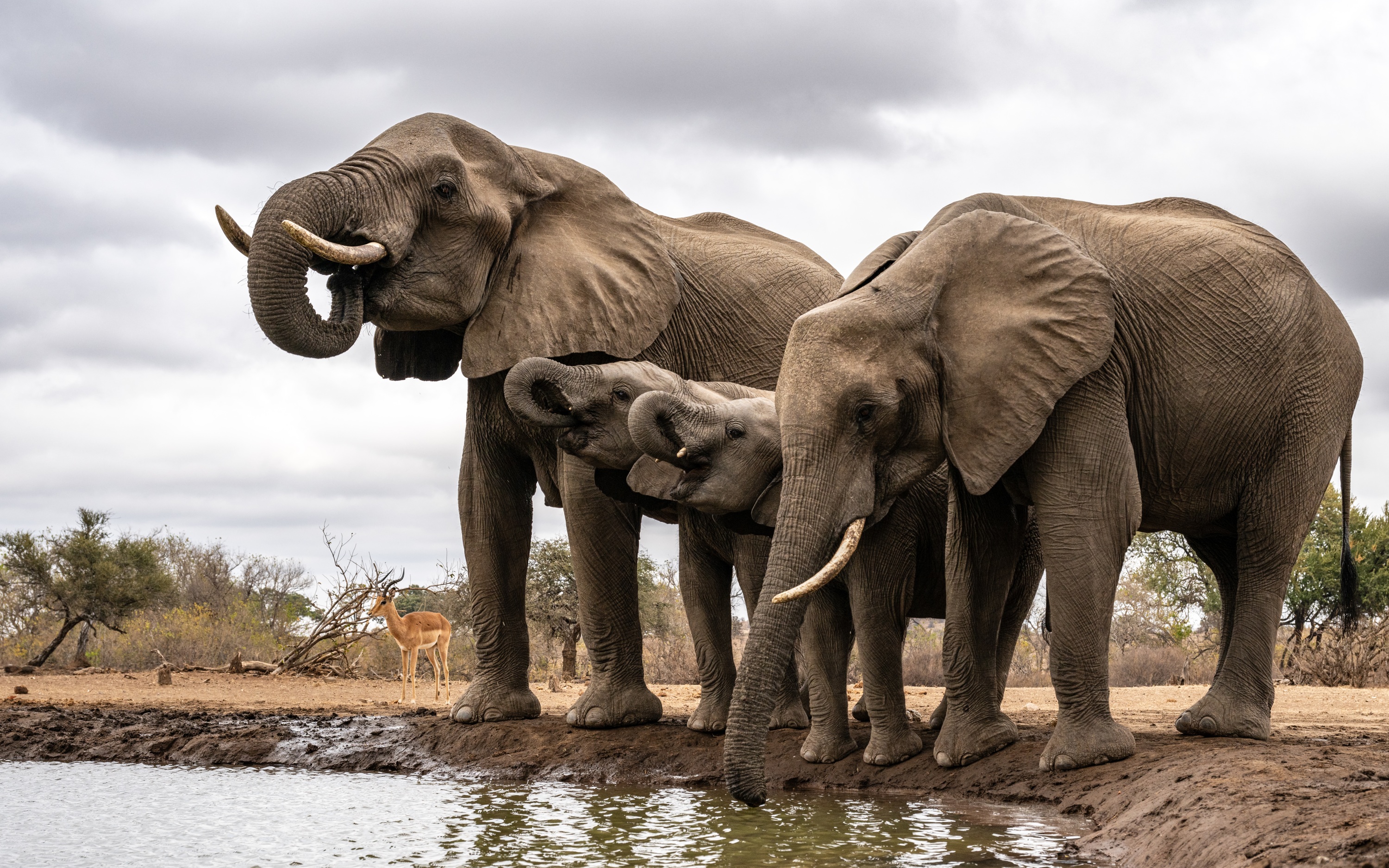 Mashatu Game Reserve, Botswana