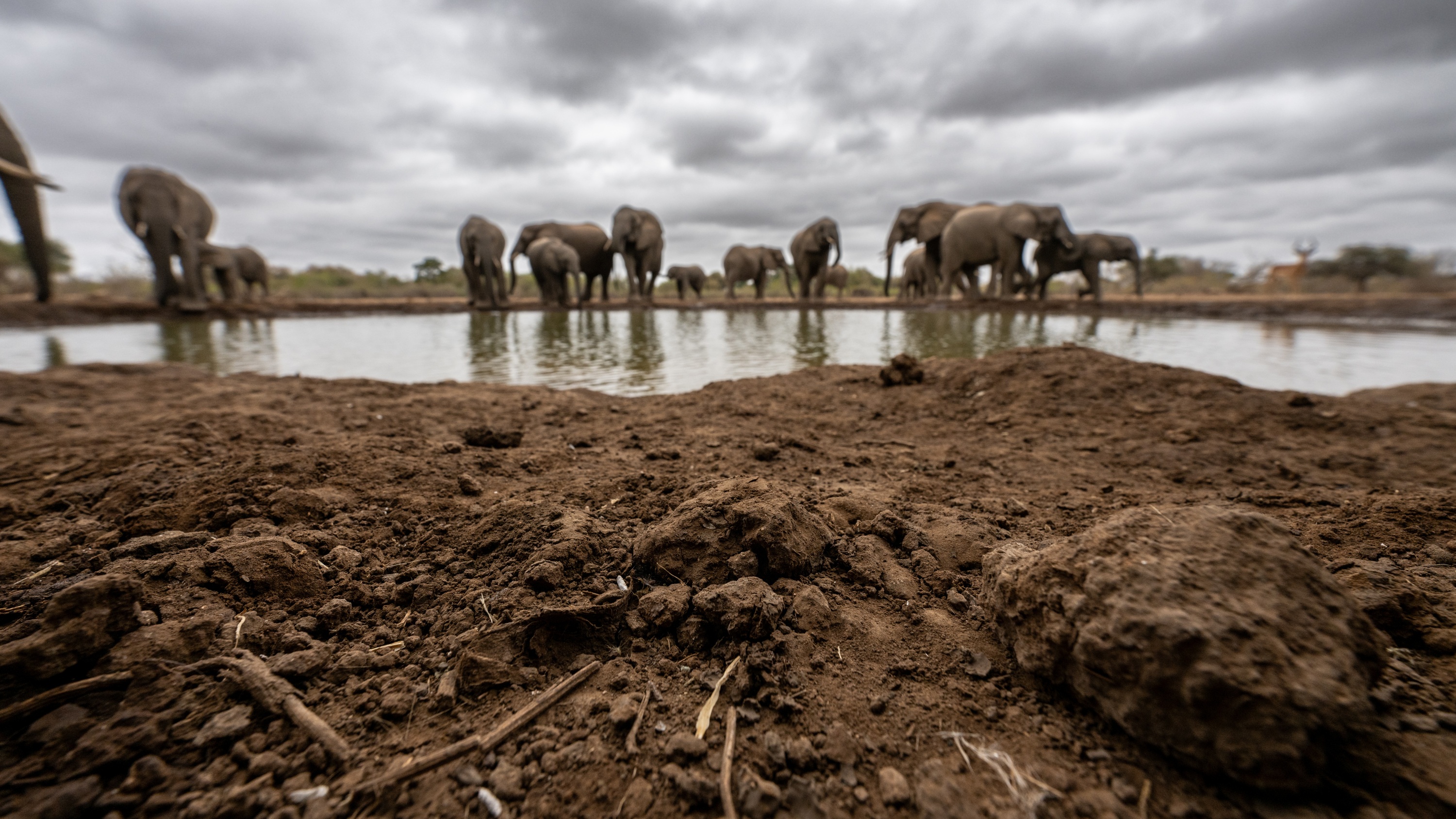 Mashatu Game Reserve, Botswana