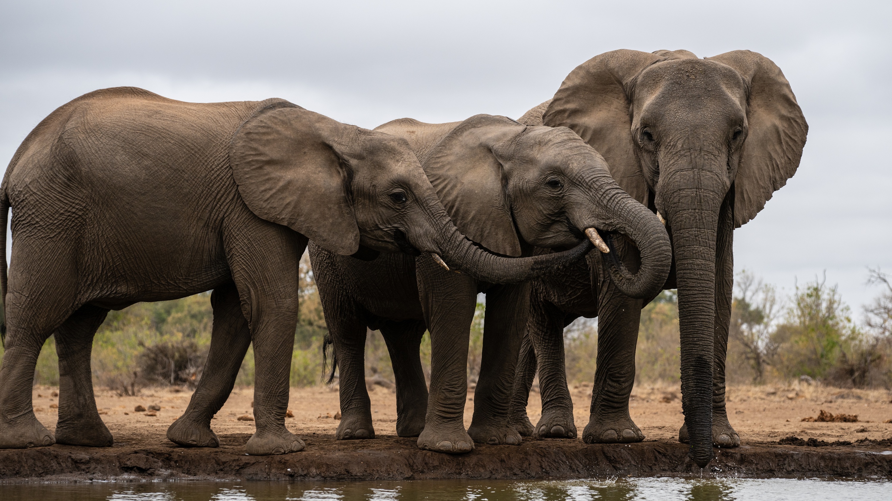 Mashatu Game Reserve, Botswana