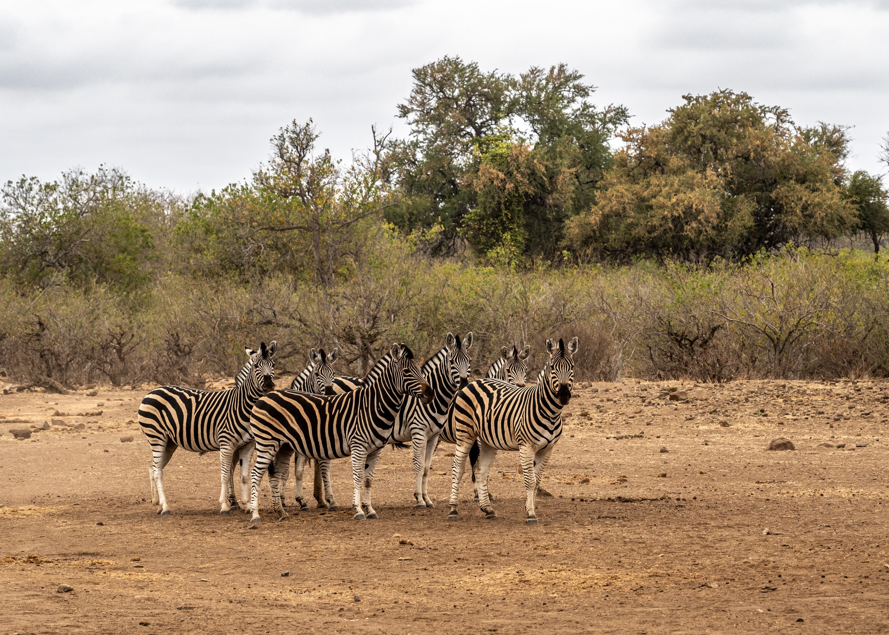 Mashatu Game Reserve, Botswana