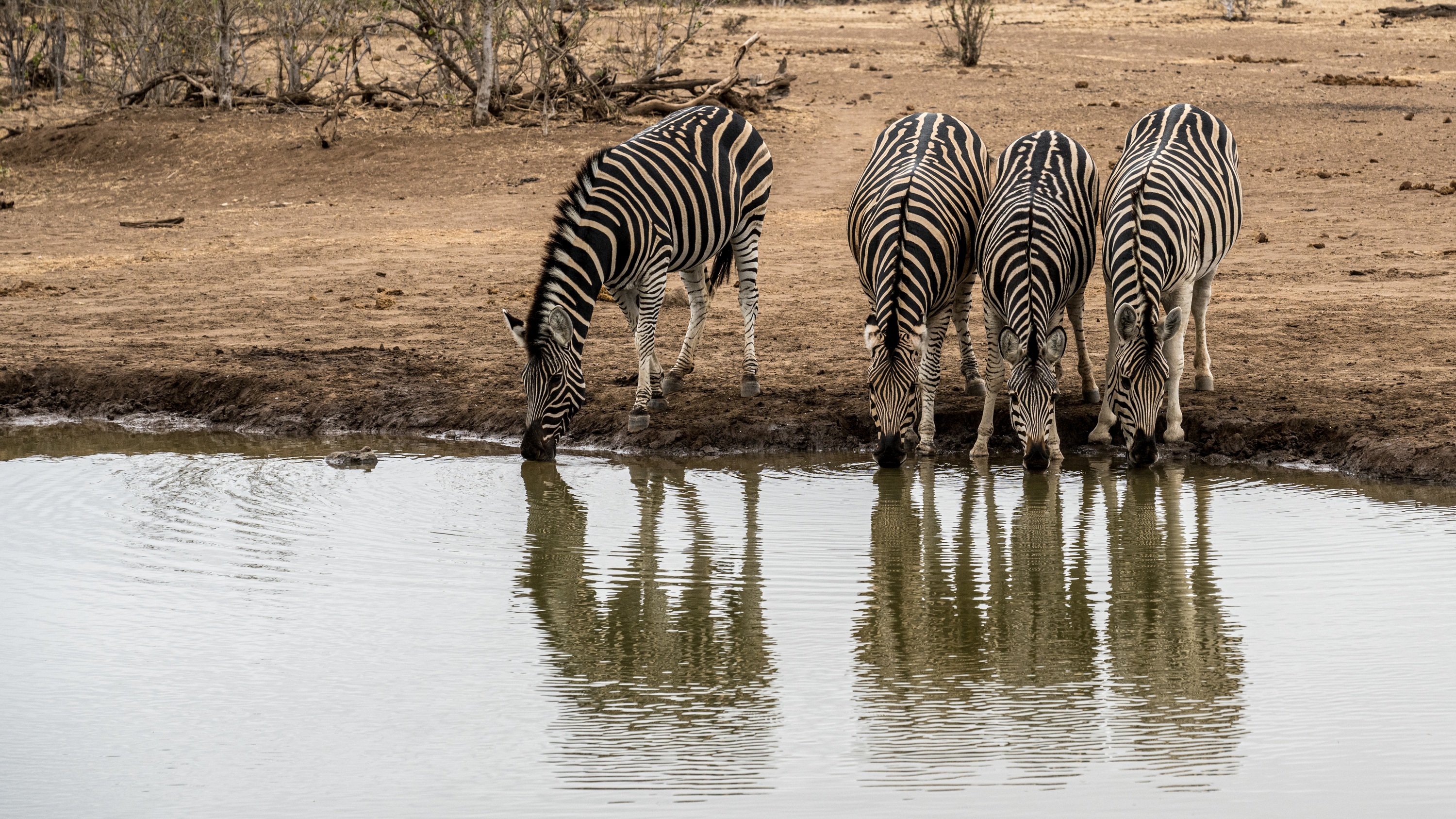 Mashatu Game Reserve, Botswana