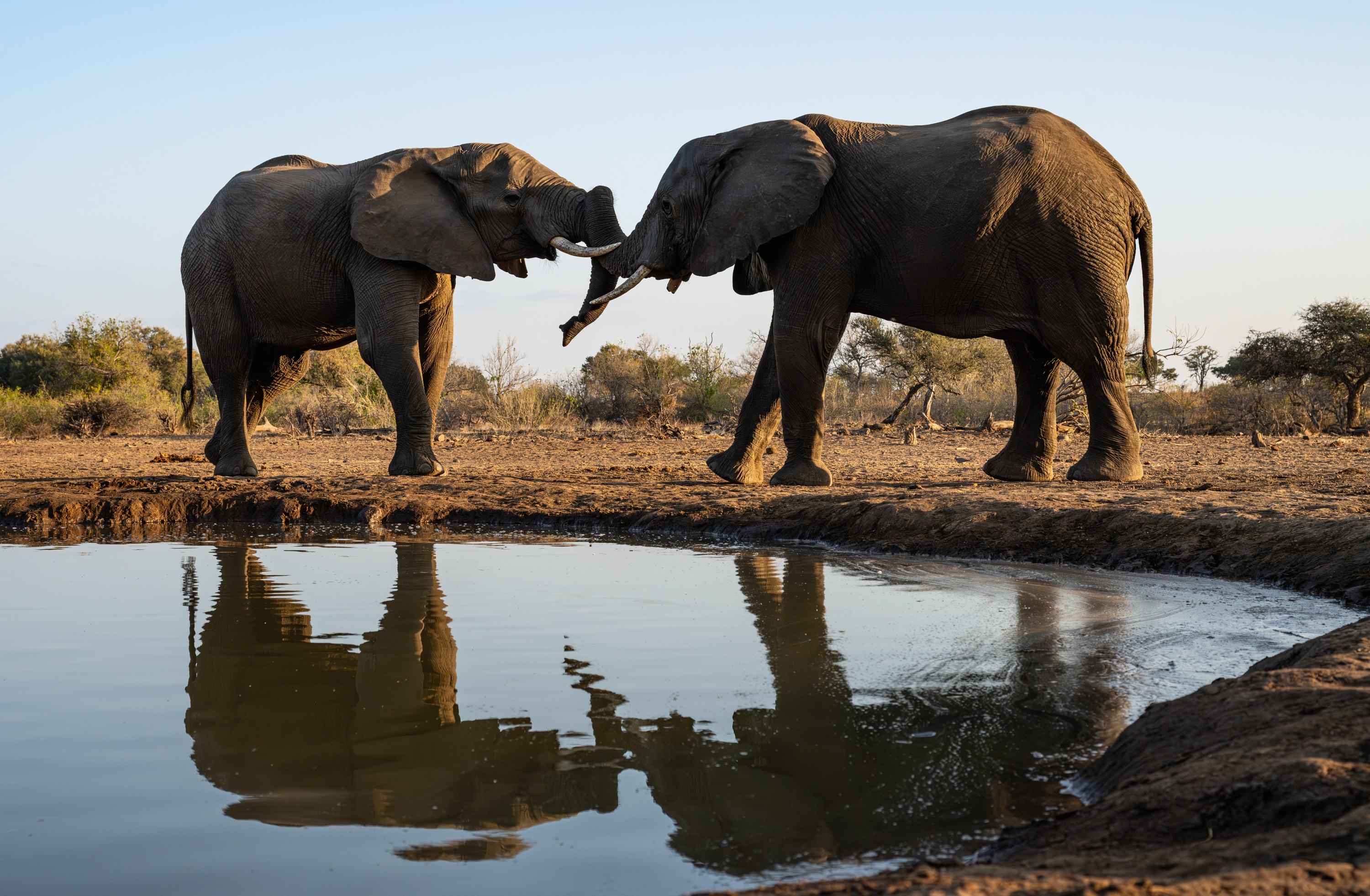 Mashatu Game Reserve, Botswana
