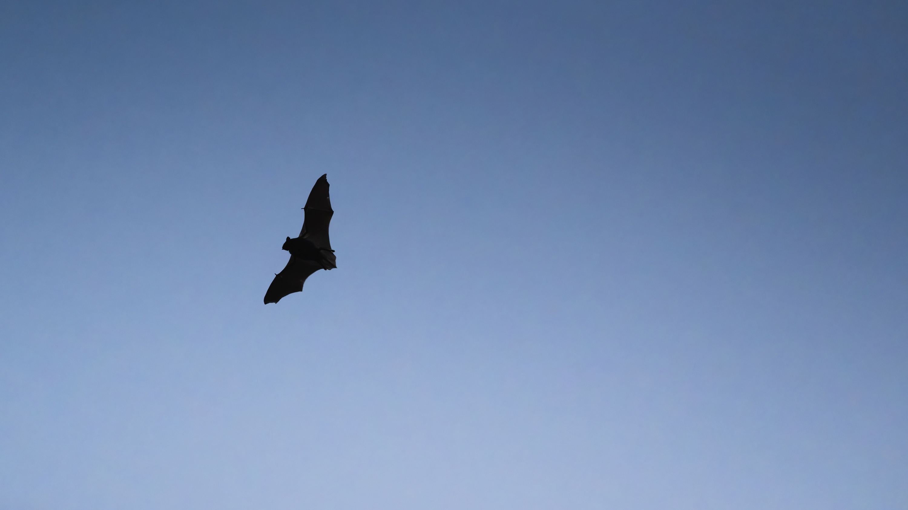 Mashatu Game Reserve, Botswana