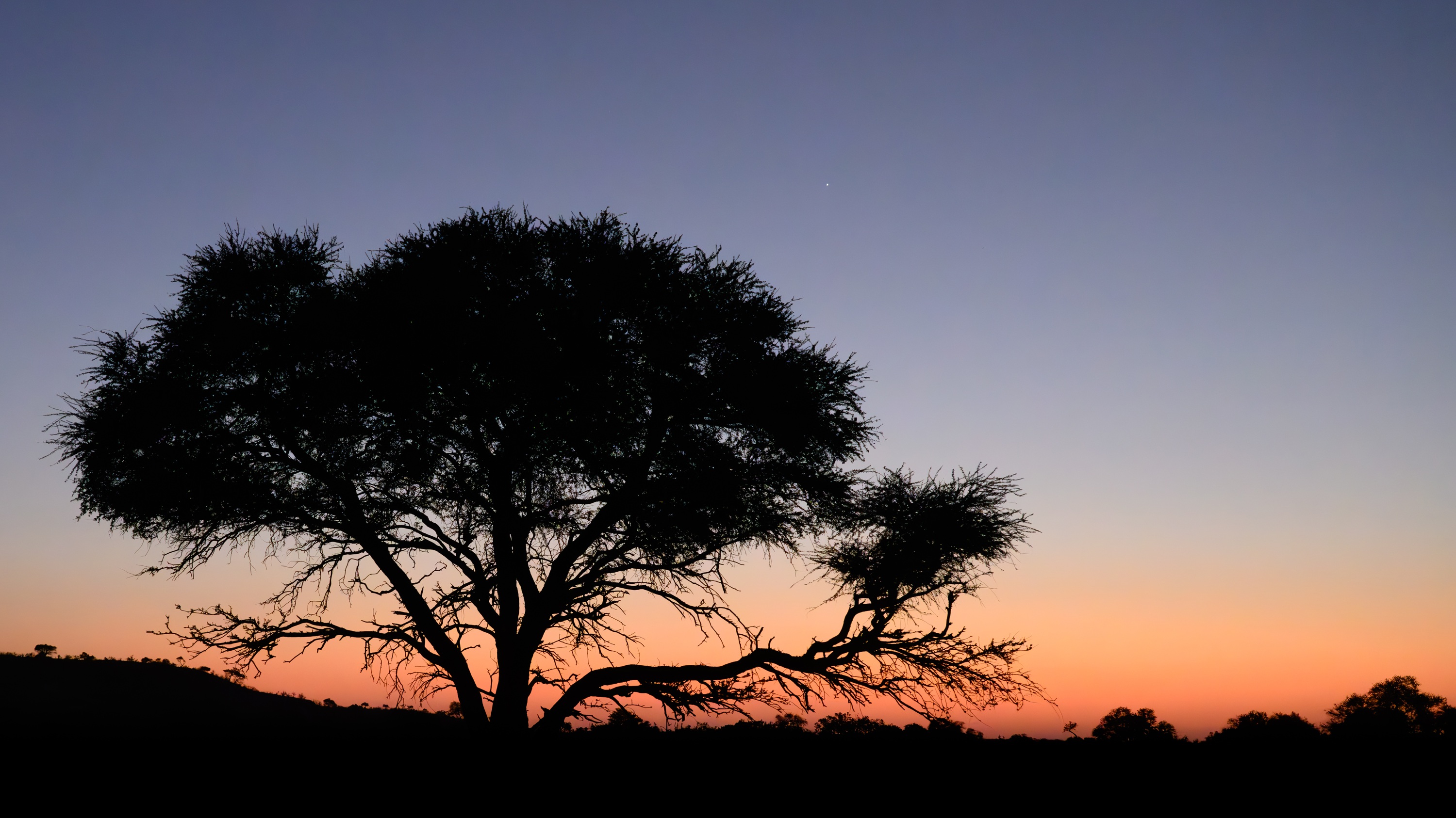 Mashatu Game Reserve, Botswana