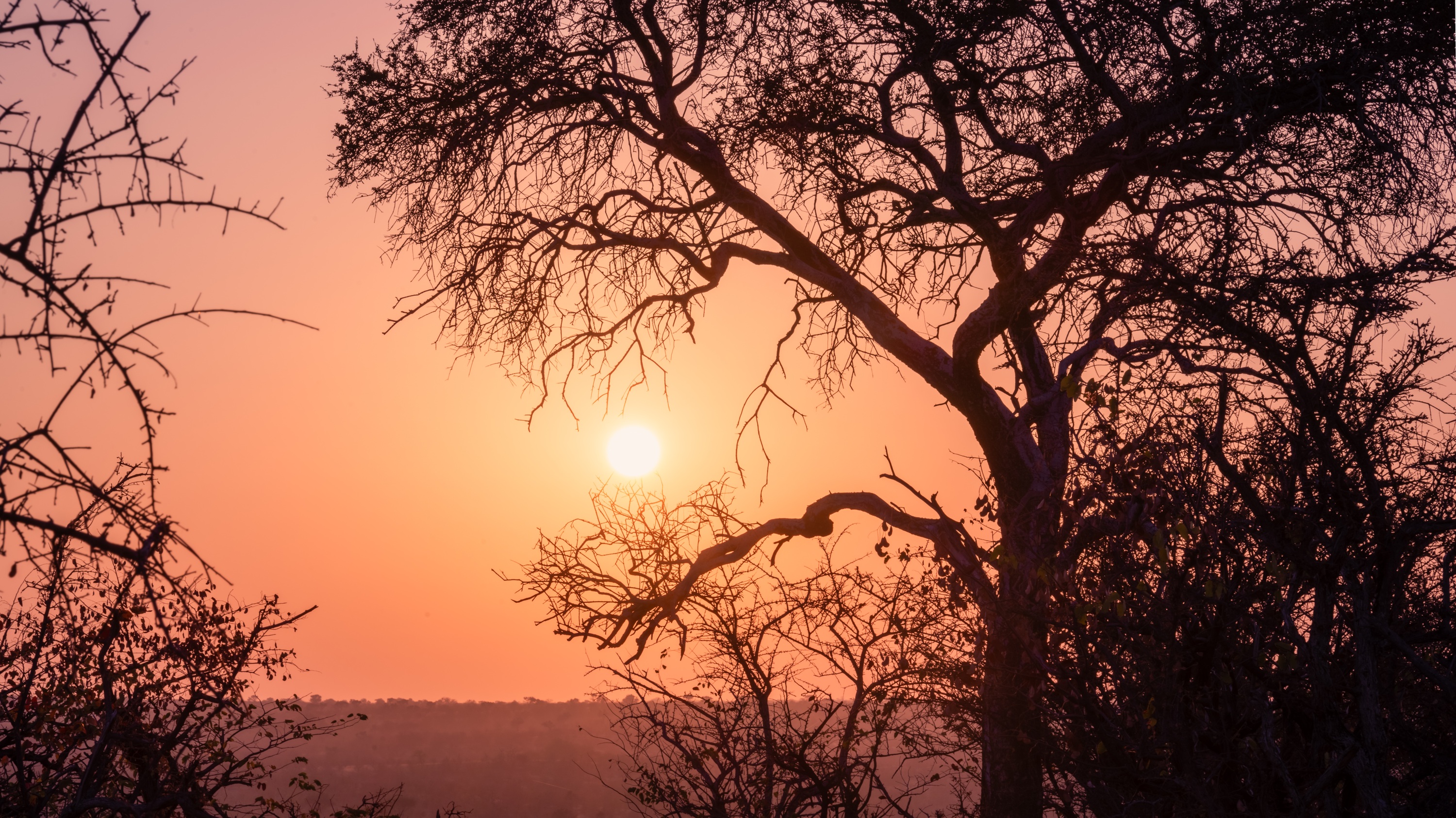 Mashatu Game Reserve, Botswana