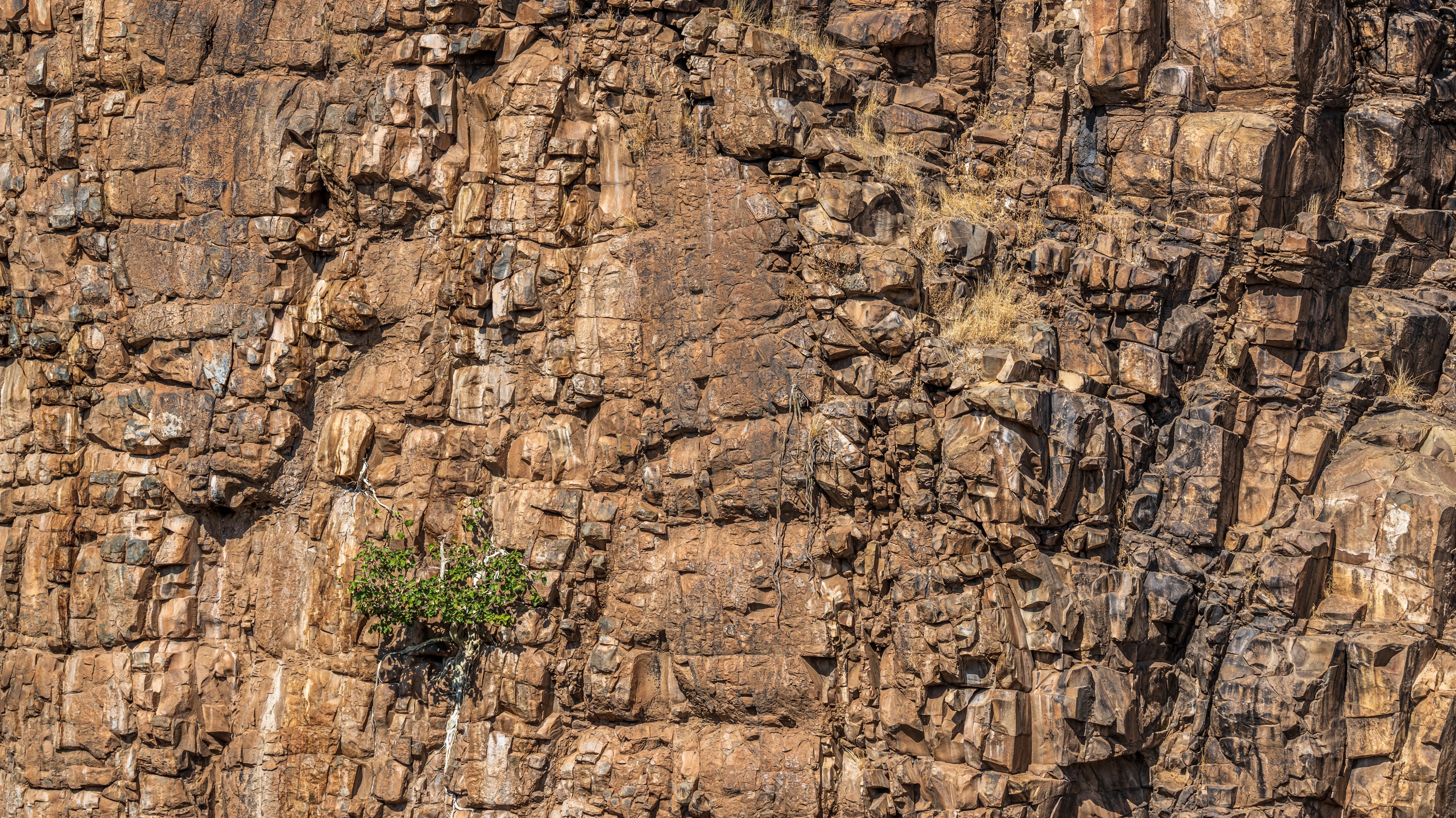 Mashatu Game Reserve, Botswana