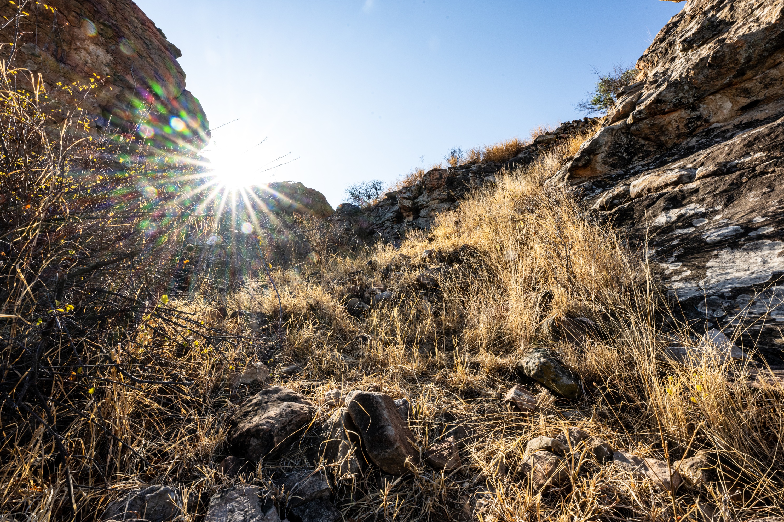 Mashatu Game Reserve, Botswana