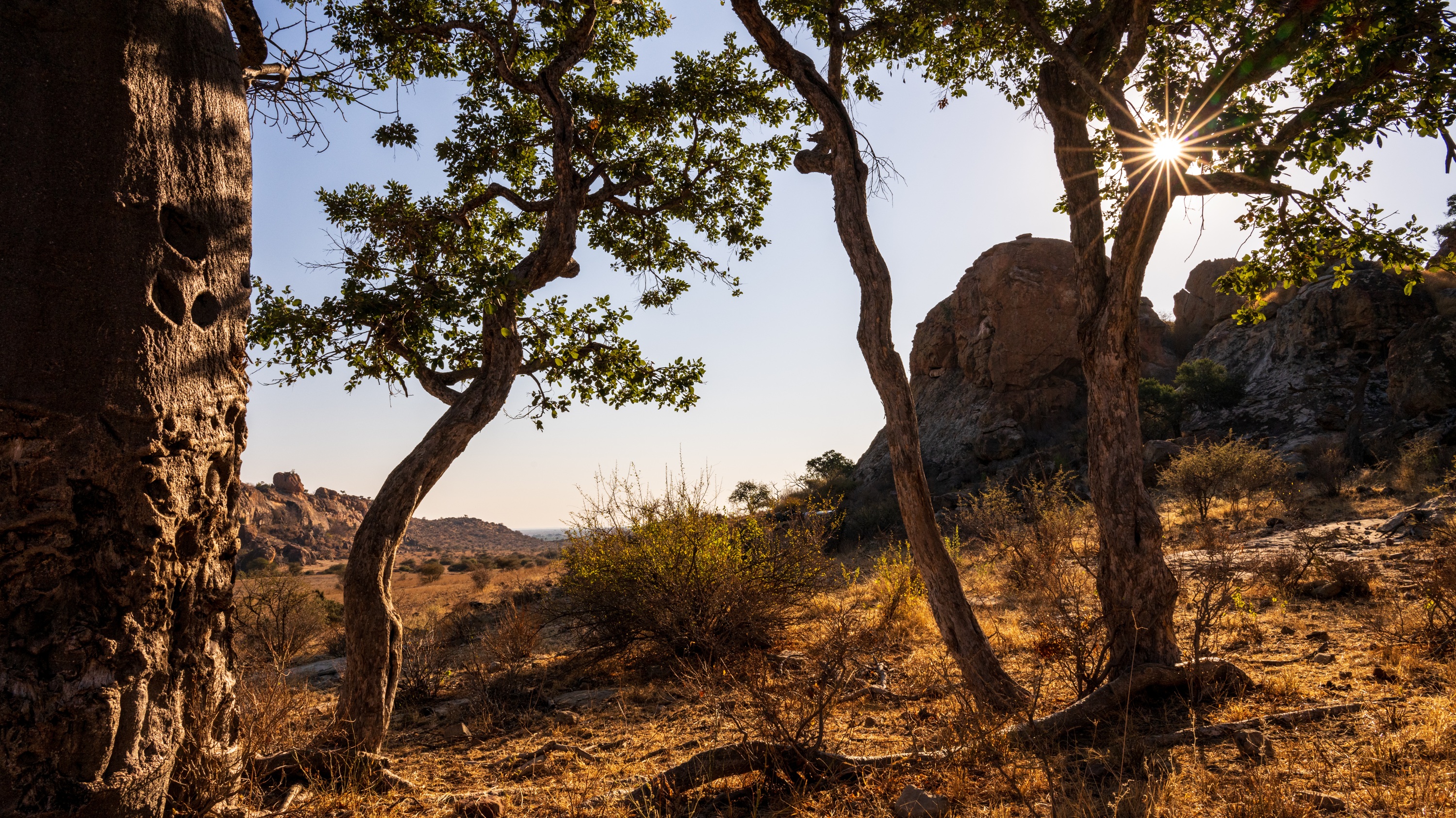Mashatu Game Reserve, Botswana