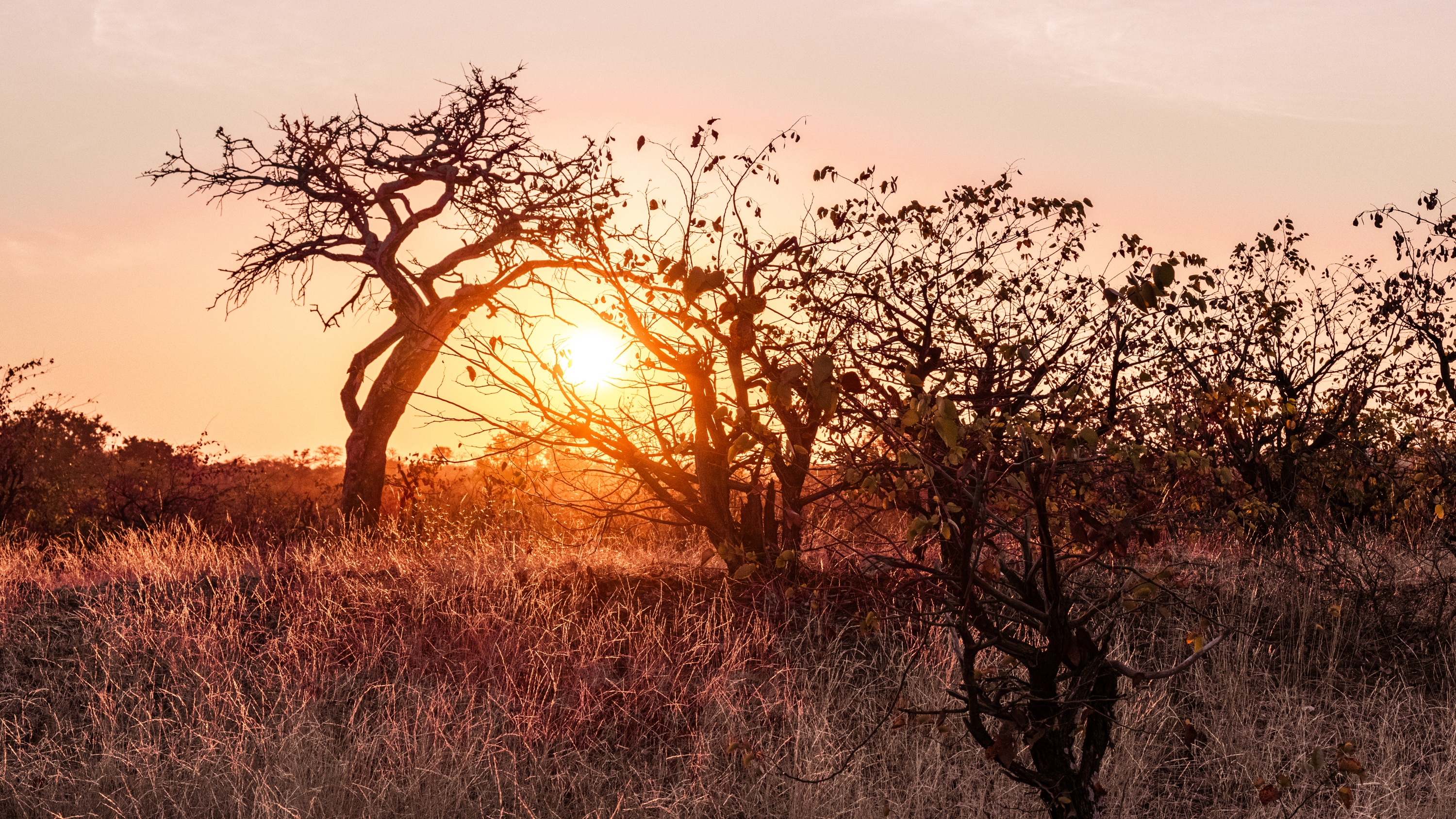 Mashatu Game Reserve, Botswana