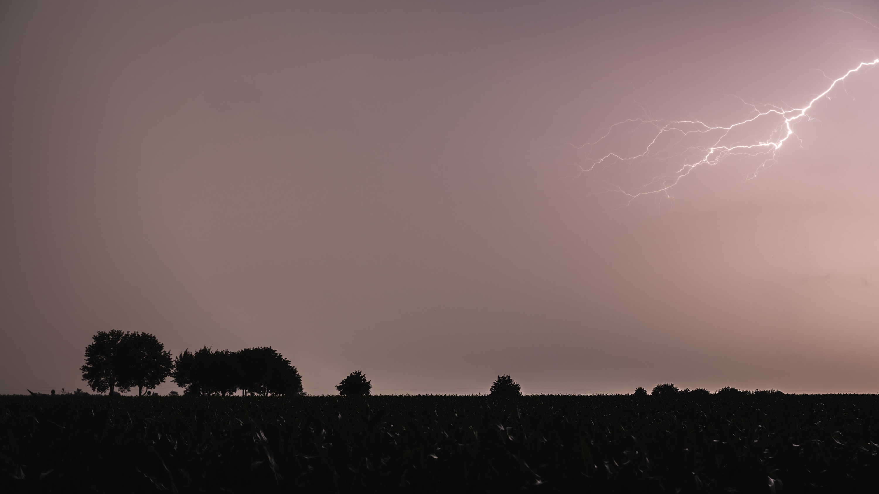 Greater Poland Voivodeship, Poland