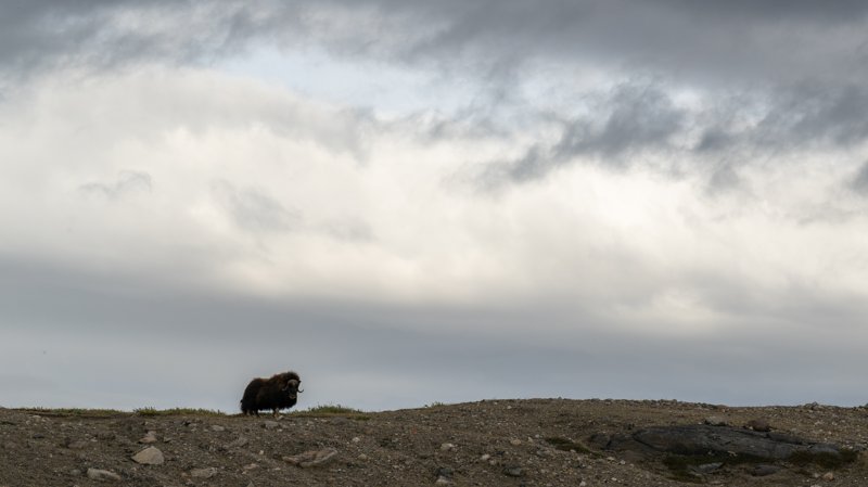 Kangerlussuaq, Greenland