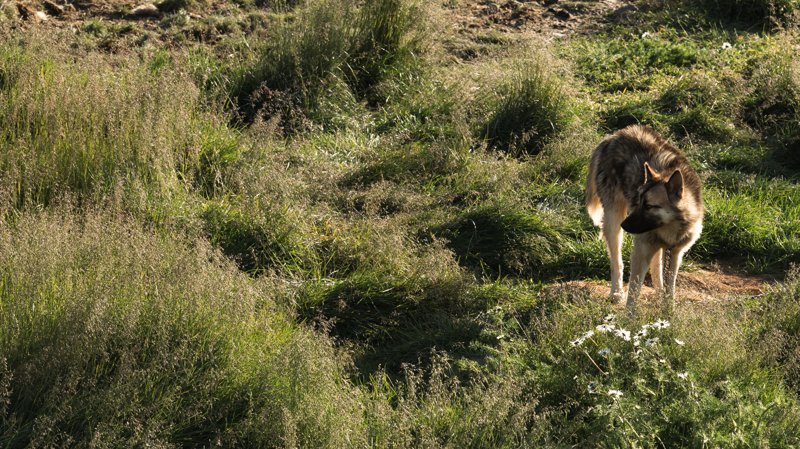 Ilulissat, Greenland