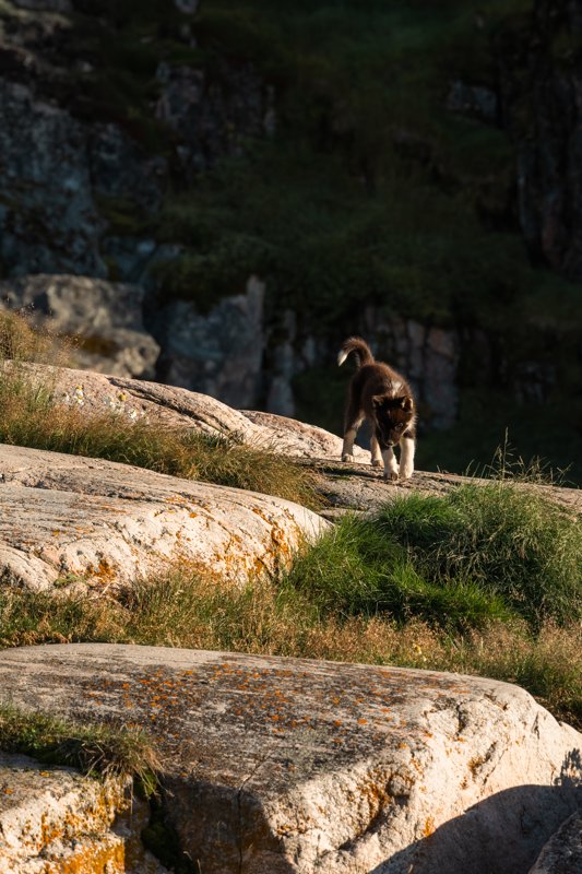 Ilulissat, Greenland