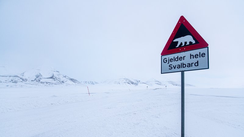 Spitsbergen, Svalbard