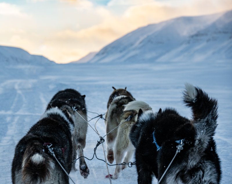 Spitsbergen, Svalbard