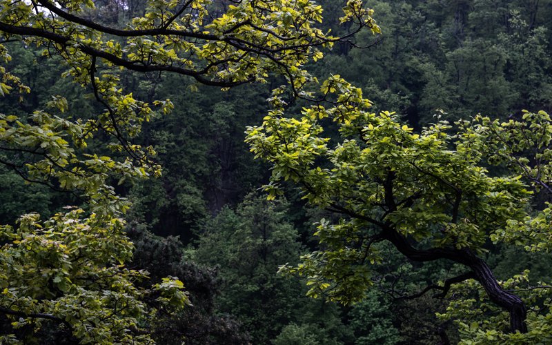 Stołowe Mountains, Poland