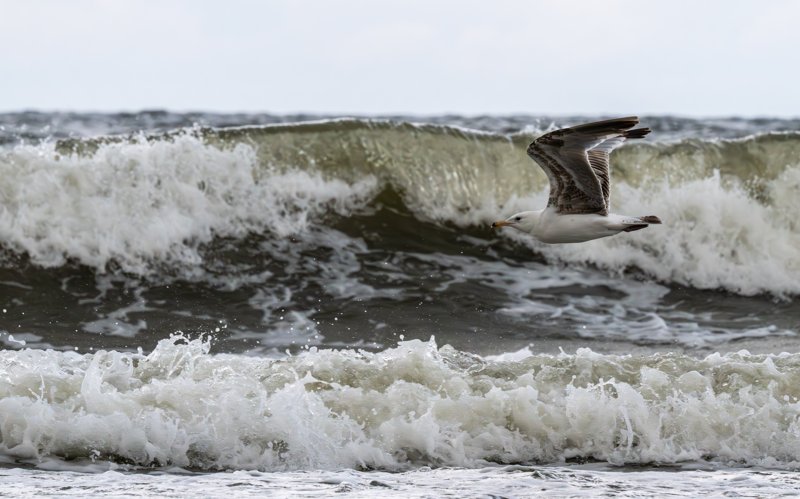 Ustronie Morskie, Poland