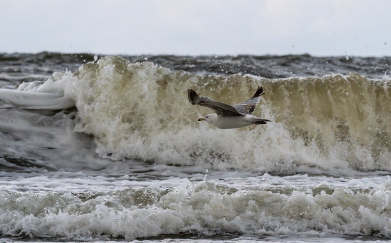 Ustronie Morskie, Poland