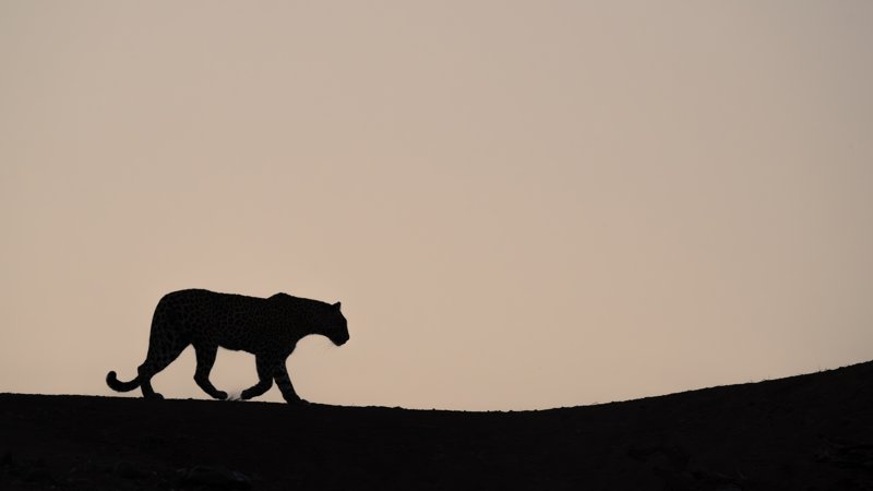 Mashatu Game Reserve, Botswana