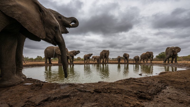 Mashatu Game Reserve, Botswana