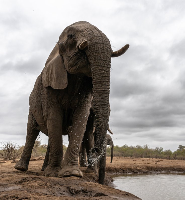 Mashatu Game Reserve, Botswana