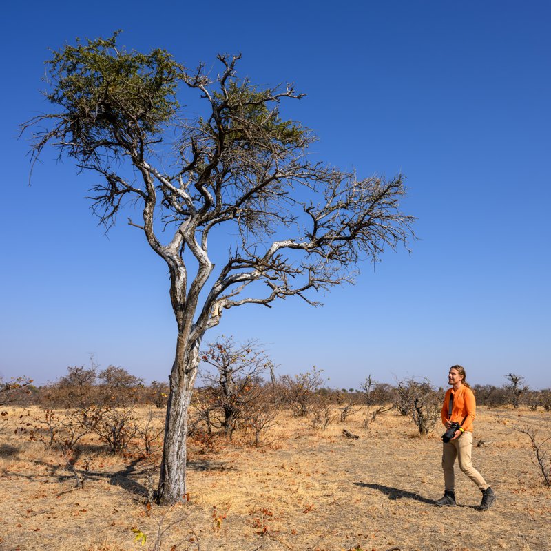 Mashatu Game Reserve, Botswana