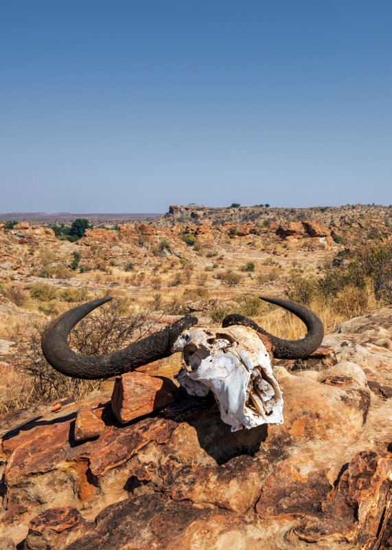 Mashatu Game Reserve, Botswana