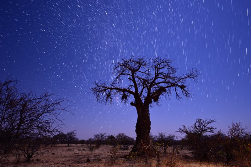 Mashatu Game Reserve, Botswana