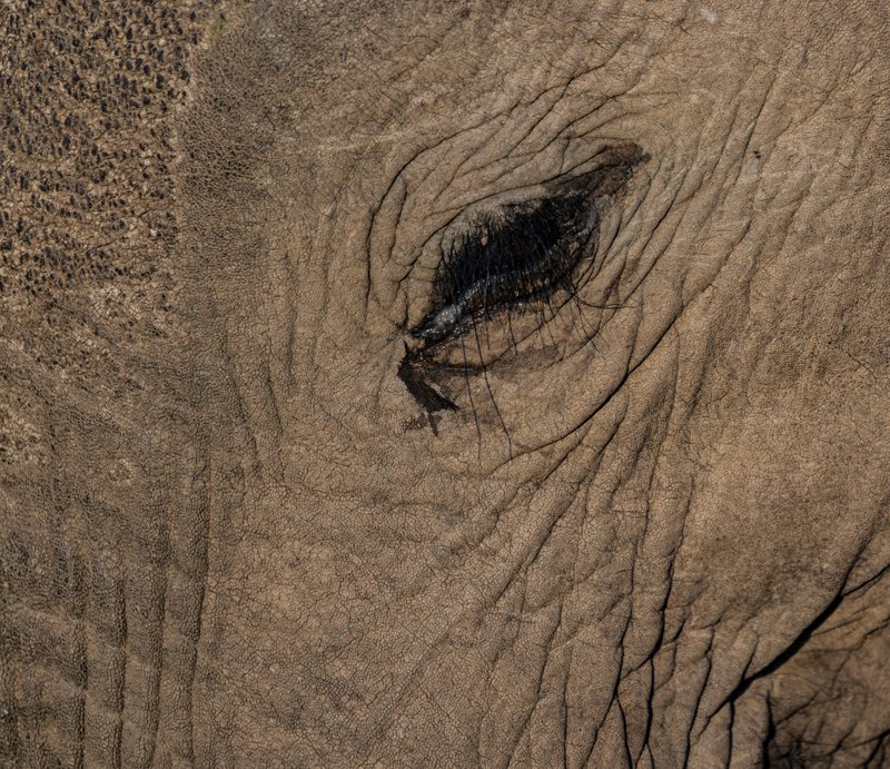Mashatu Game Reserve, Botswana