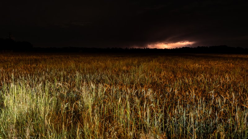 Greater Poland Voivodeship, Poland